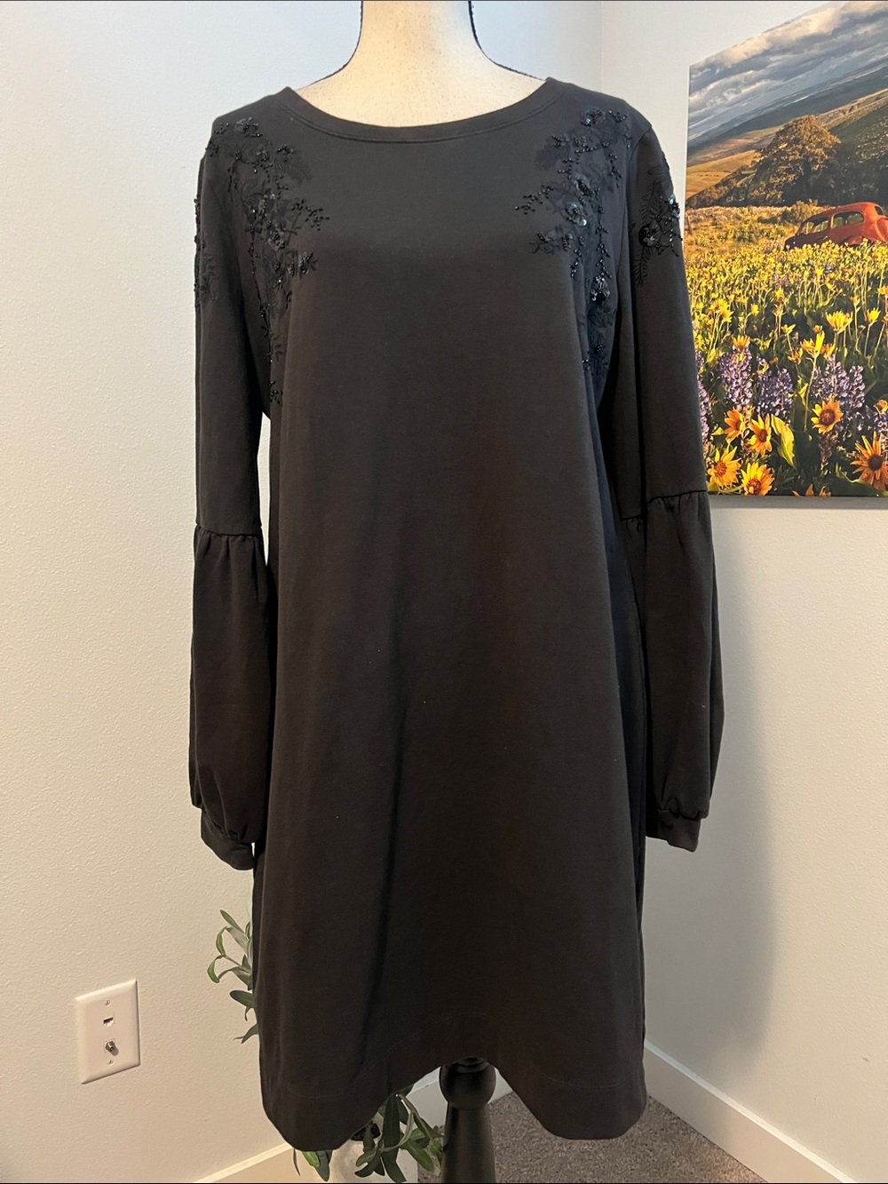 NWT LoveShack Fancy Sweatshirt Dress